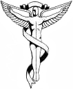 caduceus caduceus